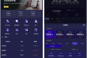 APEX多语言外汇微盘微交易所源码/单控点控+代理分销+K线完好/前端html后端PHP